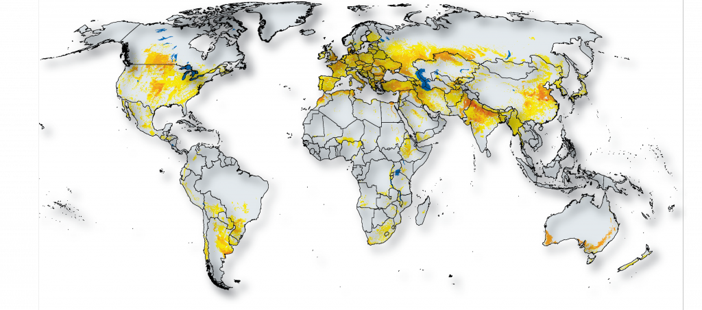 Where Does Wheat Originate From Which Country